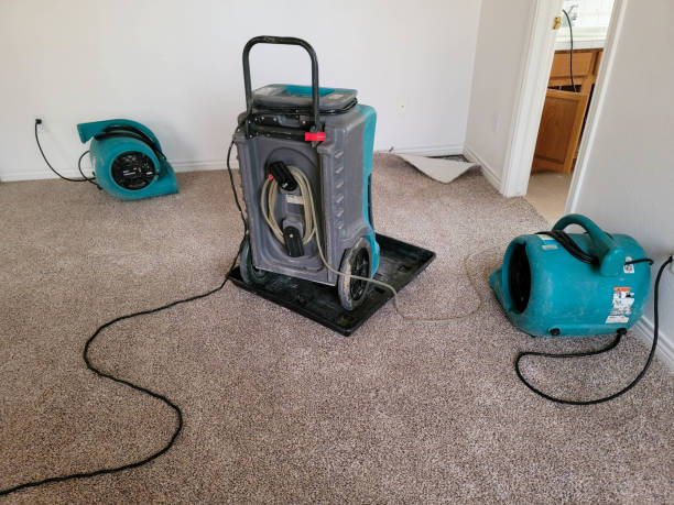 Best 24-hour water damage restoration  in Port Chester, NY