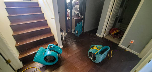 Best Sewage cleanup and water damage restoration  in Port Chester, NY