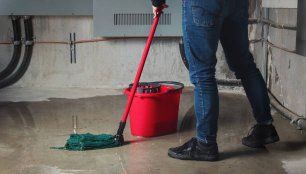 Best Professional water damage repair  in Port Chester, NY