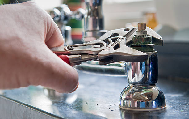 Best Mold removal after water damage  in Port Chester, NY