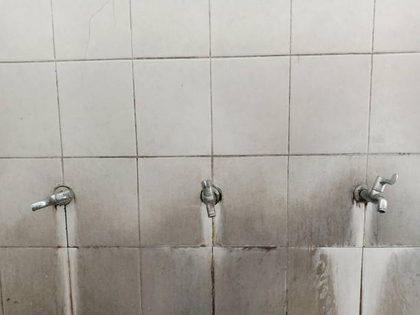 Best Fire Damage Restoration  in Port Chester, NY