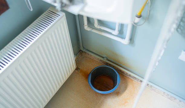Best Carpet water damage restoration  in Port Chester, NY