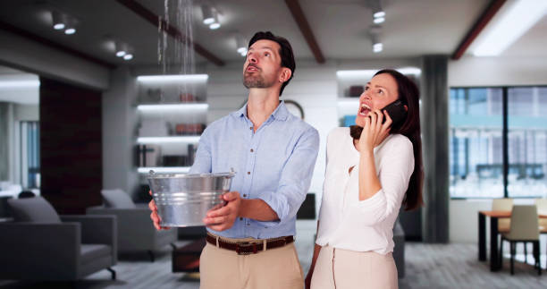 Best 24/7 water damage repair  in Port Chester, NY