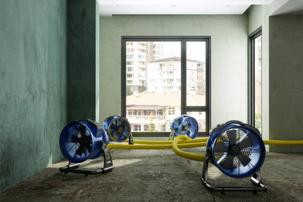 Best Water damage restoration mold remediation  in Port Chester, NY